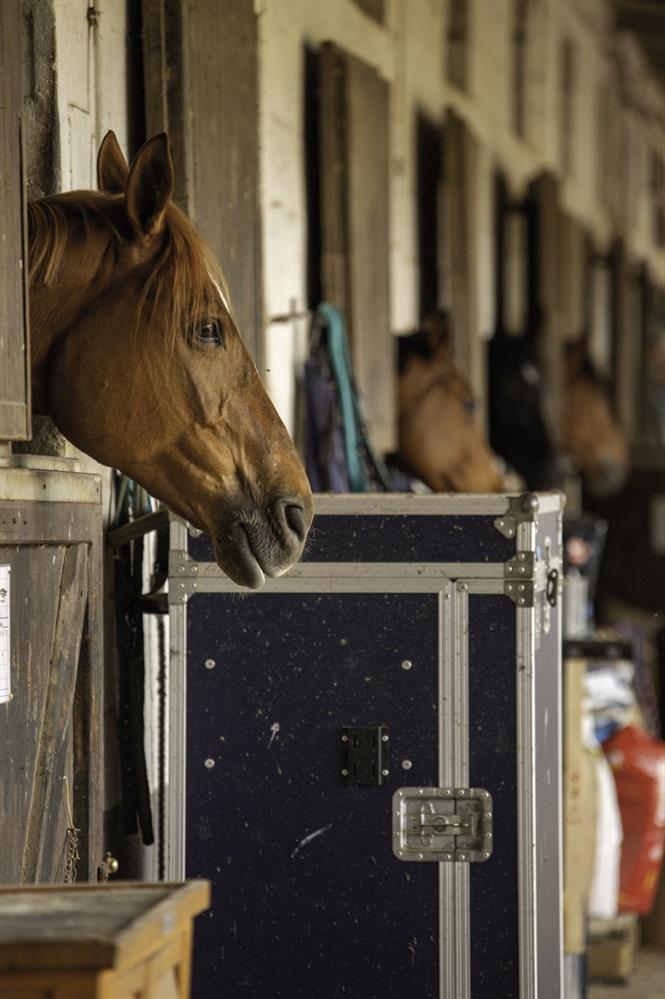 mirella-matteini-fw-25_19